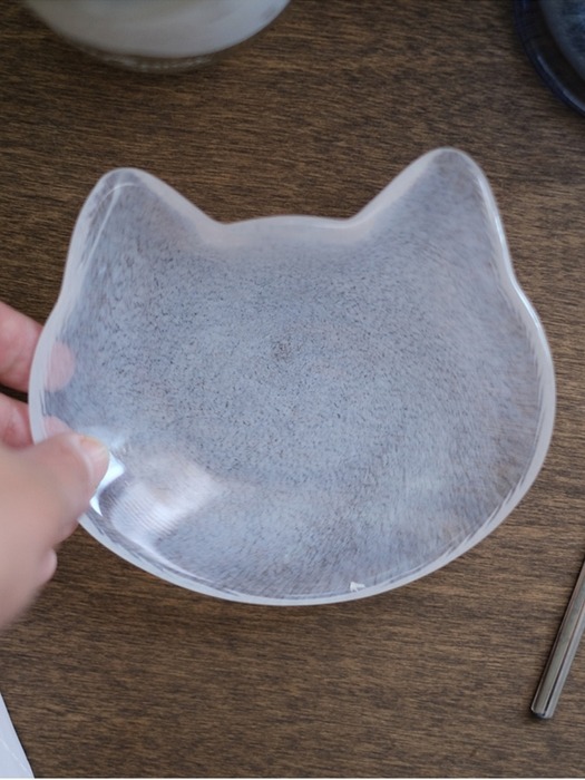 코코 고양이 유리 접시 5종