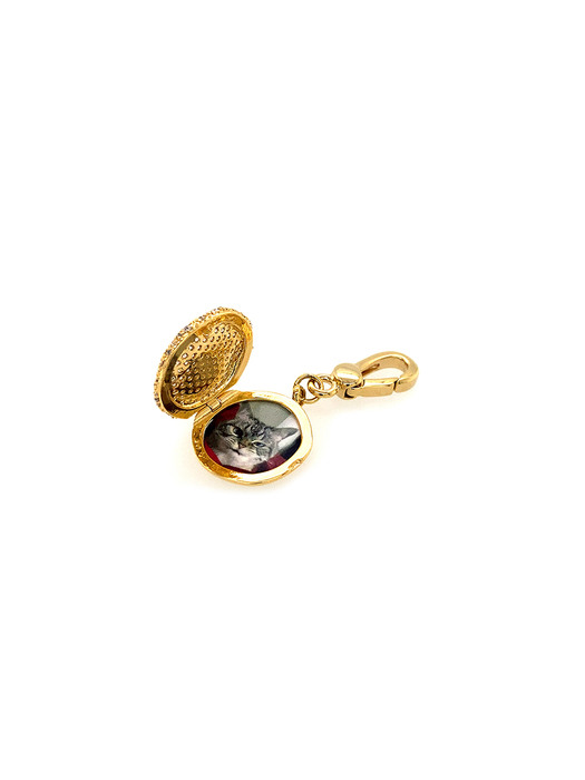 VINTAGE MEMORY PAVE LOCKET KEYRING_GOLD