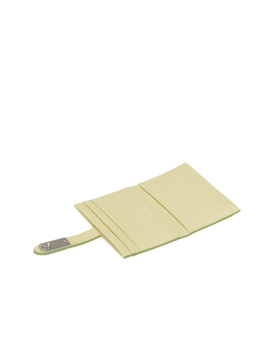 Magpie Card Wallet (맥파이 카드지갑) Pistachio Green