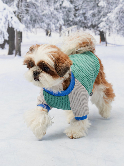 Salted Pretzel Pullover : Mint