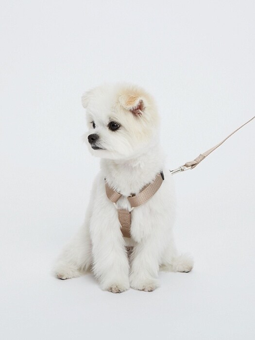 H-Type Harness & Leash SET