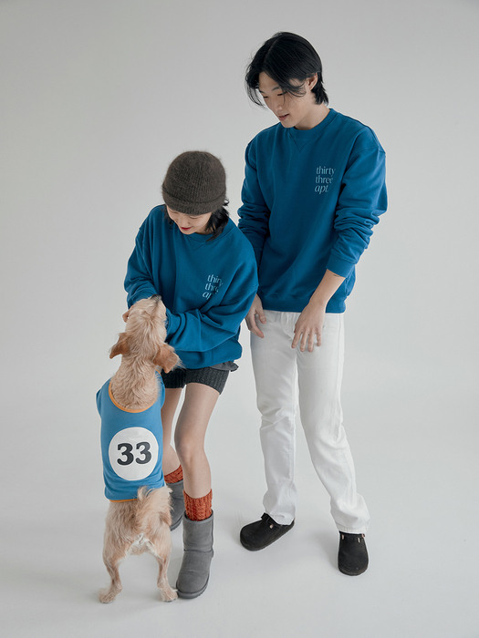 33apt pet apparel (blue)