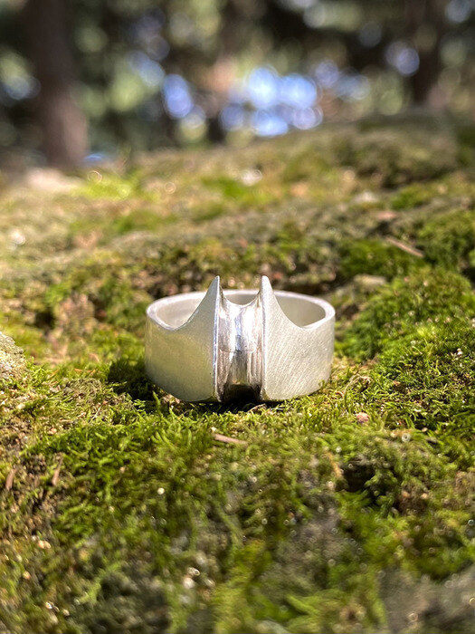 two pointed bold ring