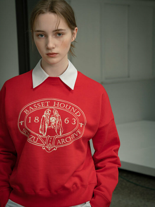 SITP5072 basset hound sweat shirt_Vivid red