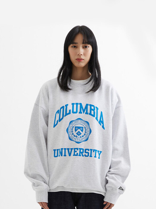 Columbia University arch and seal hoodie sweatshirt-Oatmeal
