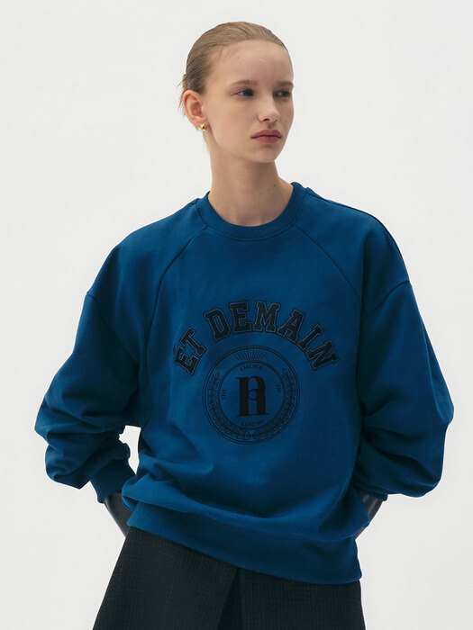 Logo-print embroidered jersey sweatshirt (Blue) 
