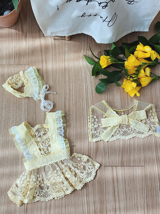 Tinker Bell Lace dress