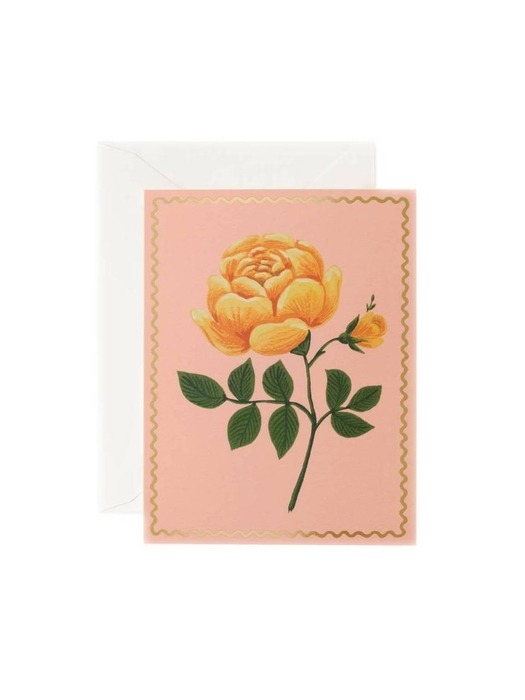 라이플페이퍼 Yellow Rose Card 일상 카드