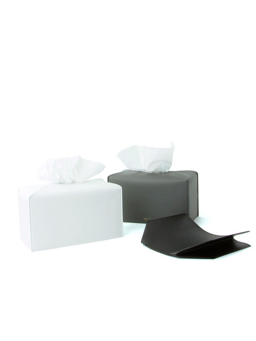 TISSUE CASE L