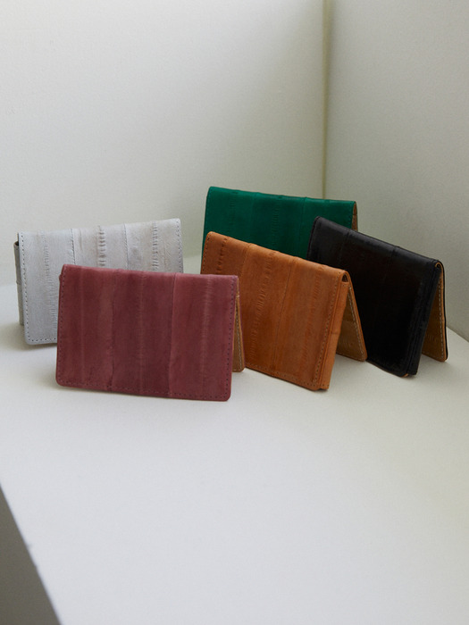 Slim card holder (5colors)