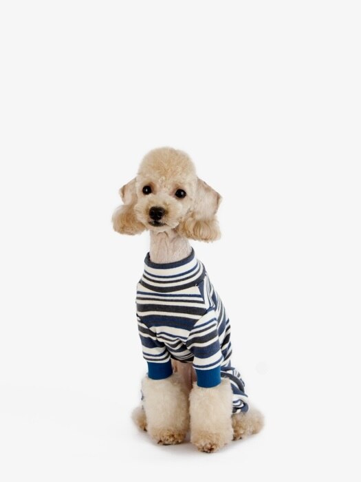 강아지 옷 올인원 - 블루