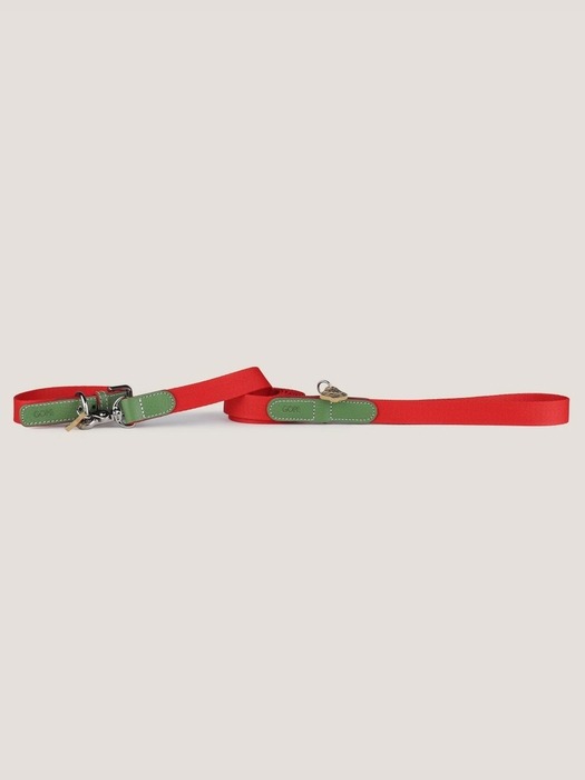 GOPE Christmas Dog Collar GRRE (B-Buckle)