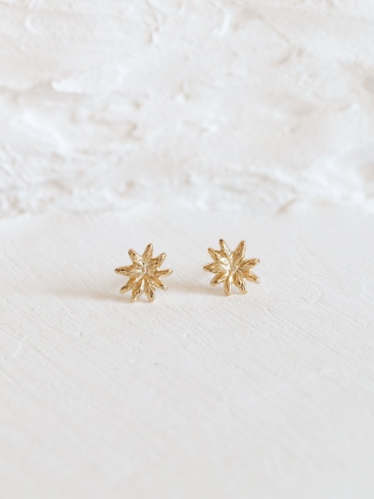 Mini star earring [gold]