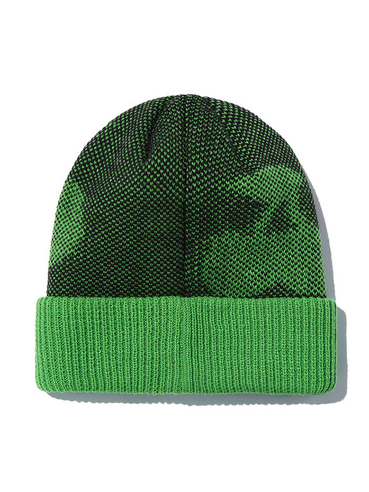 Inside-Out Beanie_Green