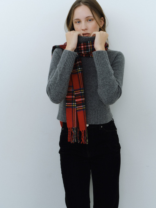 Cropped Turtle-Neck P/O_3color