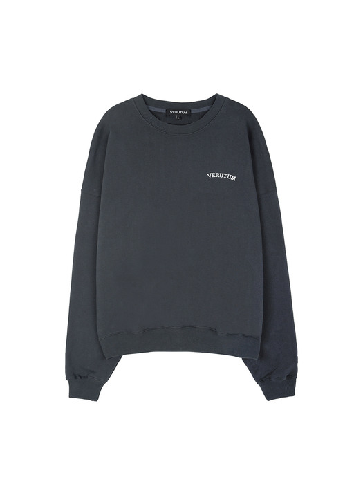 Ivy Arch Logo Overfit Sweatshirt_ST047_2colors