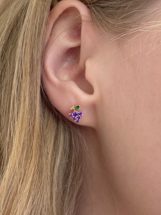 mini fruit earrings (8type)