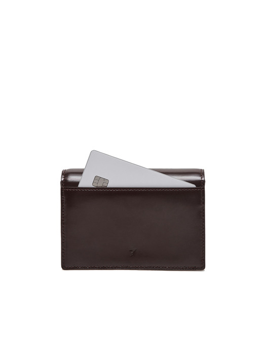 Easypass Amante Card Wallet With Leather Strap Wine Brown