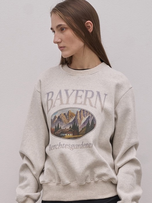 Bayern sweatshirts_3Color