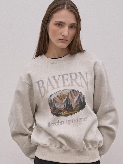 Bayern sweatshirts_3Color