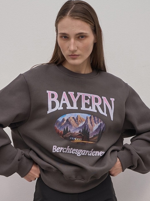 Bayern sweatshirts_3Color