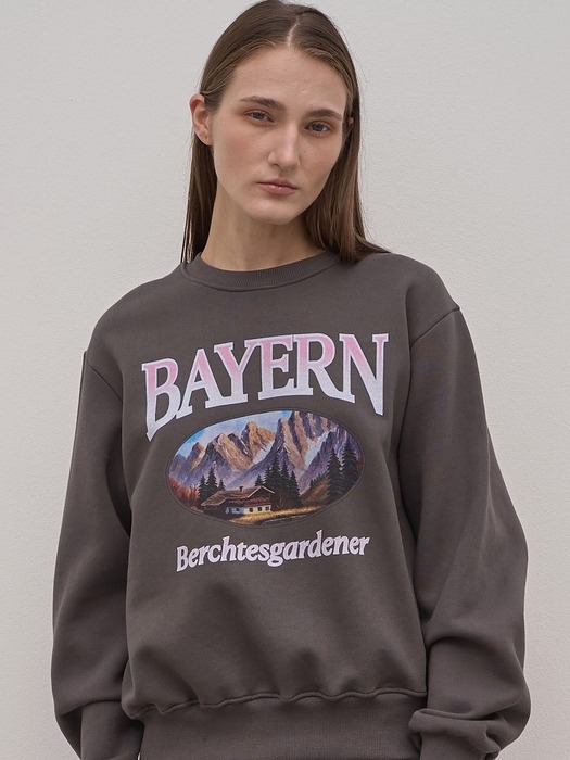 Bayern sweatshirts_3Color