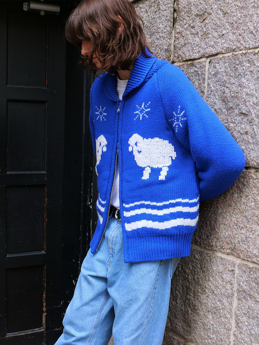 The Cowichan Sweater Lambs_ F234KN03