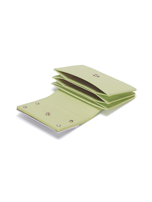 ACCORDION WALLET IN LIGHT GREEN