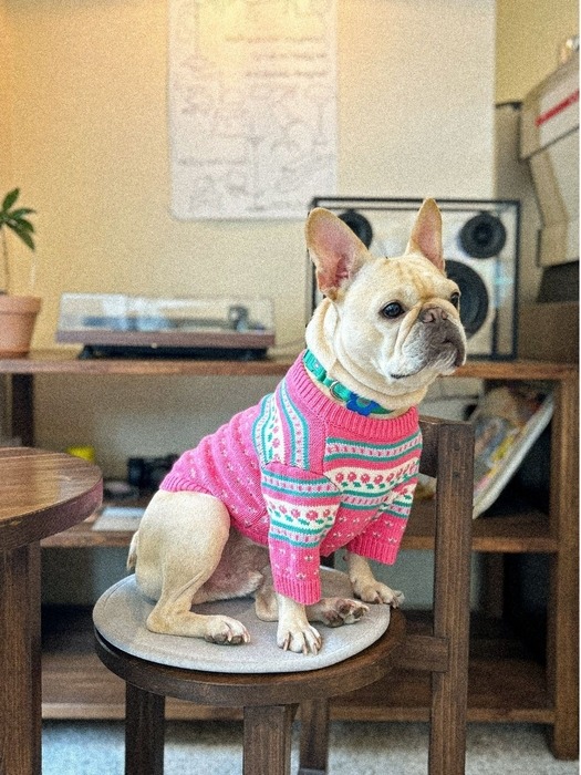 투프 빈티지 스웨터 l 핑크