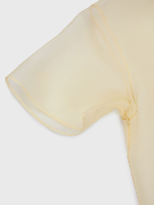 Half Sleeve Organza Silk Dress - Cream