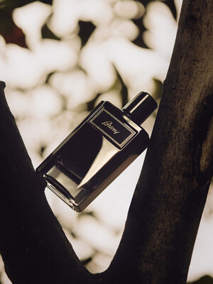 브리오니 인텐스 EDP 100ML