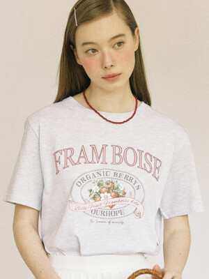 Framboise T-shirt - Light Grey