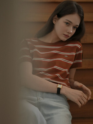 Multi stripe cotton t-shirt_Brown