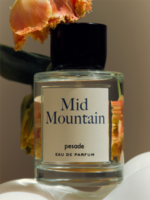 Mid Mountain Eau De Parfum 100ML