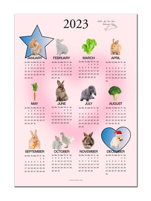 RABBIT CALENDAR 2023 토끼 달력 포스터