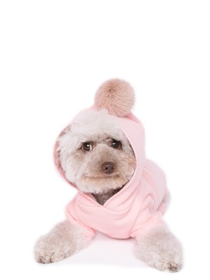 Pudding hoodie SET-pink