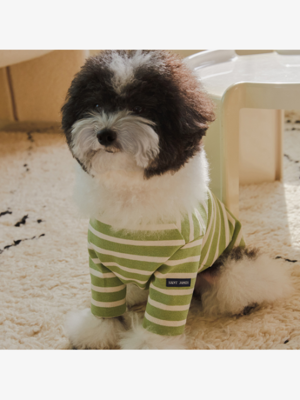[세인트제임스]본사정품 SJ Dog Clothes (0CE)(PLVU231SJ01-0CE)