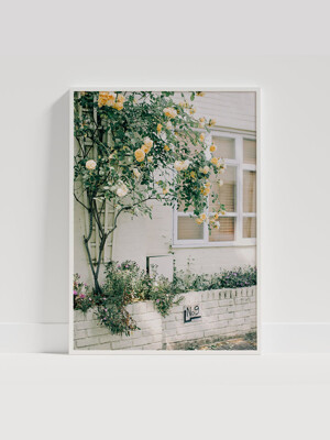 [souffle] Rosebush 수플 사진 포스터 A1 50x70 A2 사이즈
