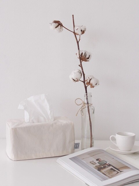 Solid natural tissue case _ Ivory