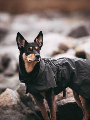 Visibility Raincoat Dark for Dogs (강아지 반사 우비)