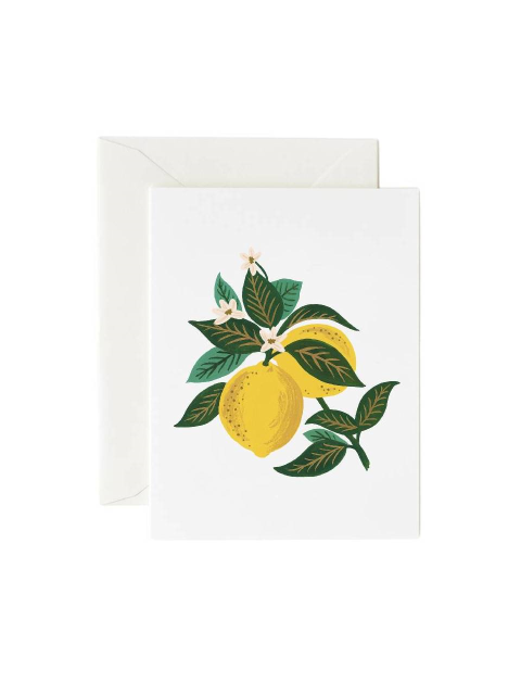 문구 - 라이플페이퍼 (RIFLE PAPER) - 라이플페이퍼 Lemon Blossom Card 일상 카드
