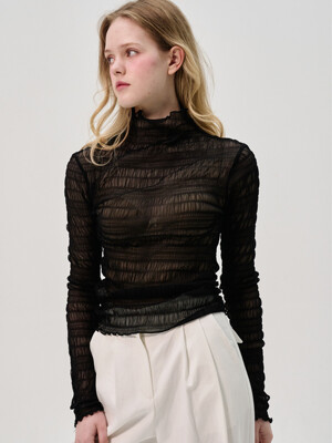 Cien Shirring Seethrough Turtlenect Top_BLACK