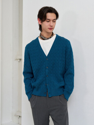 MAN 에센셜 미니멀 케이블 브이넥 가디건 [TEAL GREEN] / SBE1M04004