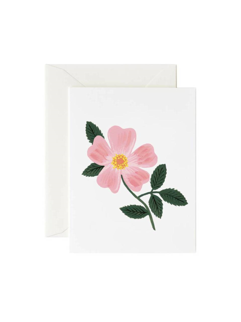 문구 - 라이플페이퍼 (RIFLE PAPER) - 라이플페이퍼 Wild Prairie Rose Card 일상 카드