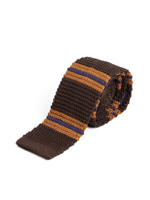 WS STRIPE KNIT TIE  (brown)