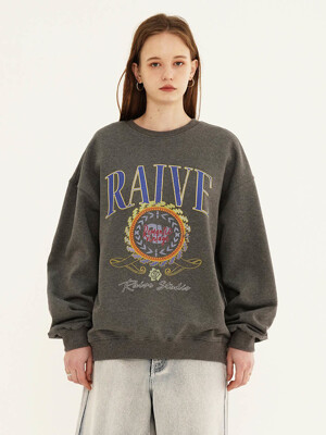 RAIVE Sweatshirt in Grey VW2AE331-12