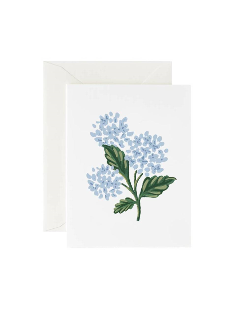 문구 - 라이플페이퍼 (RIFLE PAPER) - 라이플페이퍼 Hydrangea Bloom Card 일상 카드