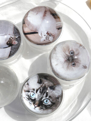 그립톡 반구 고양이 정품 핸드폰 그립톡 (6color)