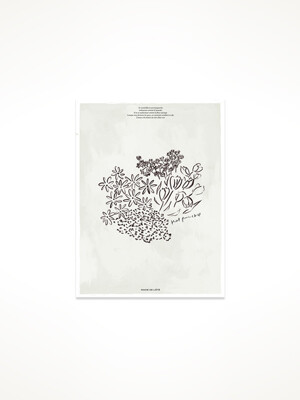 Floral Magic Postcard