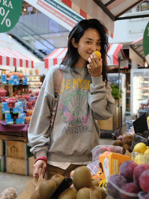 Peacemark Graphic Sweatshirt in L/Grey VW3AE102-11